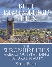 bokomslag Blue Remembered Hills: the Shropshire Hills Area of Outstanding Natural Beauty