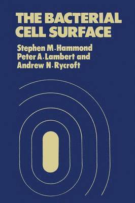 S.M. Hammond, P.A. Lambert, Andrew Rycroft, S. M. Hammond, P. a. Lambert, Peter Lambert, P. A. Lambert - Bacterial Cell Surface, Häftad