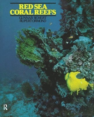 Red Sea Coral Reefs 1