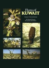 bokomslag Flora Of Kuwait