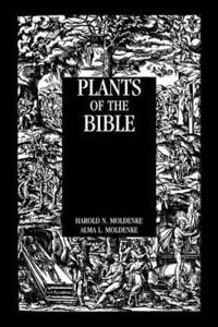 bokomslag Plants Of The Bible