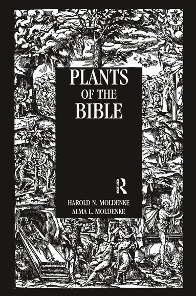 bokomslag Plants Of The Bible