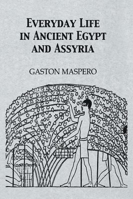 Everyday Life In Ancient Egypt 1