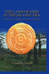 bokomslag The Land Of Enki In The Islamic Era