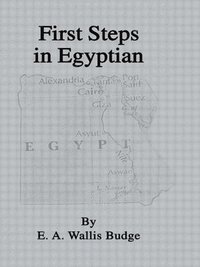 bokomslag First Steps In Egyptian