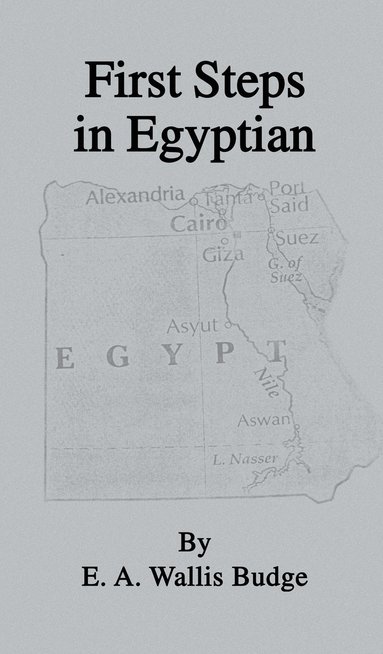 bokomslag First Steps In Egyptian