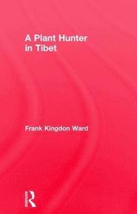 bokomslag Plant Hunter In Tibet