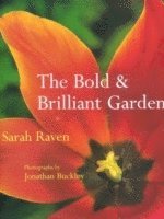 bokomslag The Bold and Brilliant Garden