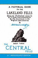 bokomslag The Central Fells: Volume 3