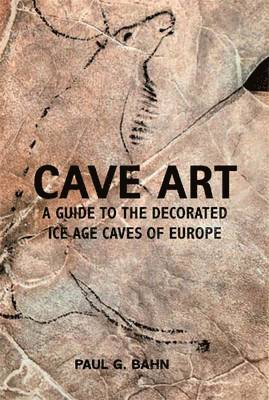 Paul G. Bahn - Cave art, Häftad