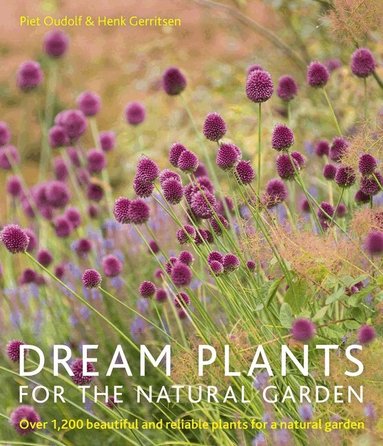 Piet Oudolf, Henk Gerritsen - Dream Plants for the Natural Garden, Häftad
