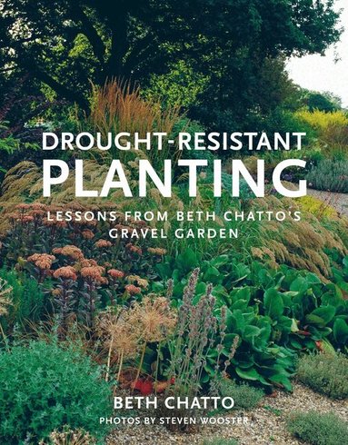 Beth Chatto - Drought-Resistant Planting, Häftad