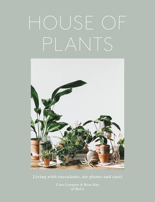 Rose Ray, Caro Langton, Ro Co - House of Plants: Living with Succulents, Air Plants and Cacti, Inbunden