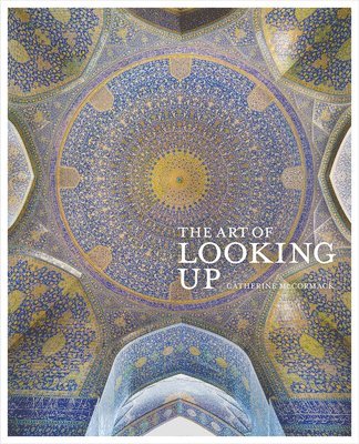 Catherine Mccormack - Mccormack, C: Art of Looking Up, Inbunden