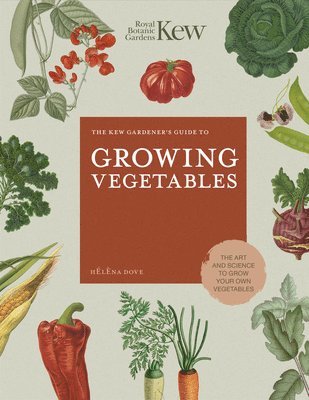 bokomslag The Kew Gardener's Guide to Growing Vegetables