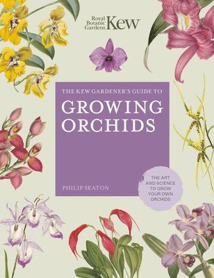 Philip Seaton, Royal Botanic Gardens Kew - Kew Gardener's Guide to Growing Orchids, Inbunden
