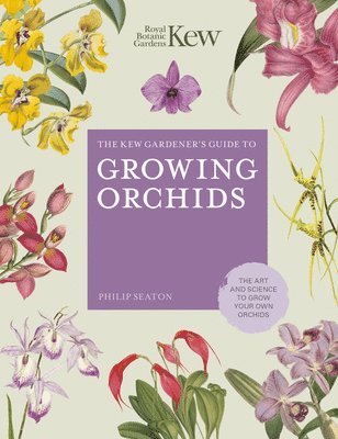 bokomslag The Kew Gardener's Guide to Growing Orchids: Volume 6