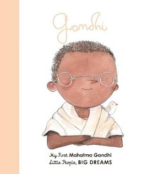 bokomslag Mahatma Gandhi: Volume 25