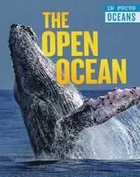 bokomslag Martin, C: Open Ocean
