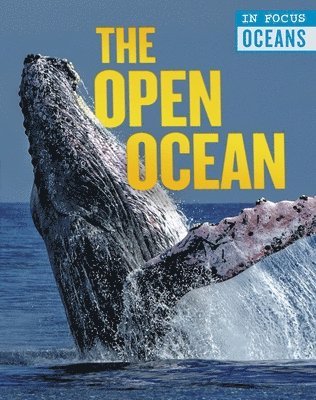 bokomslag Martin, C: Open Ocean