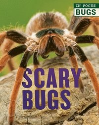 bokomslag Bridges, M: Scary Bugs