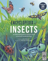 bokomslag Encyclopedia of Insects