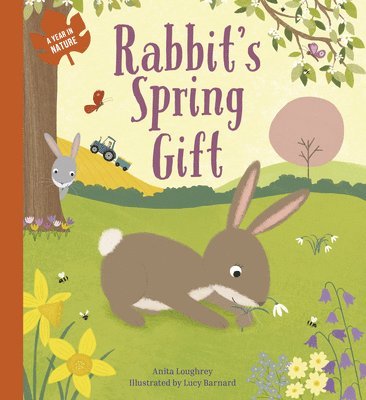 Anita Loughrey - Rabbit's Spring Gift, Inbunden