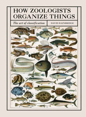 David Bainbridge - Bainbridge, D: How Zoologists Organize Things, Inbunden