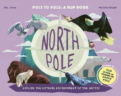 North Pole / South Pole 1