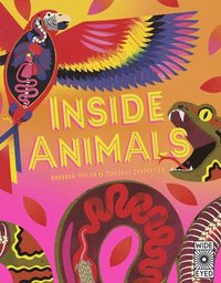 bokomslag Inside Animals