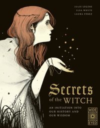 bokomslag Secrets of the Witch