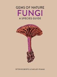 bokomslag Fungi: Volume 2