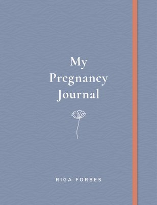 My Pregnancy Journal 1
