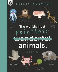 bokomslag The World's Most Pointless Animals: Or Are They?