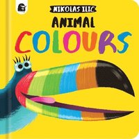 bokomslag Animal Colours