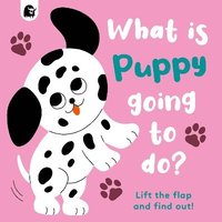 bokomslag What is Puppy Going to Do?: Volume 4