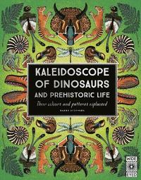 bokomslag Kaleidoscope of Dinosaurs and Prehistoric Life