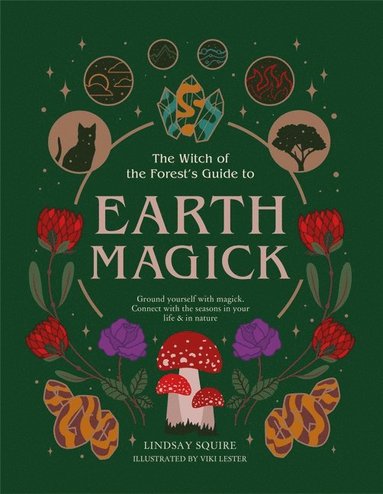 bokomslag Earth Magick