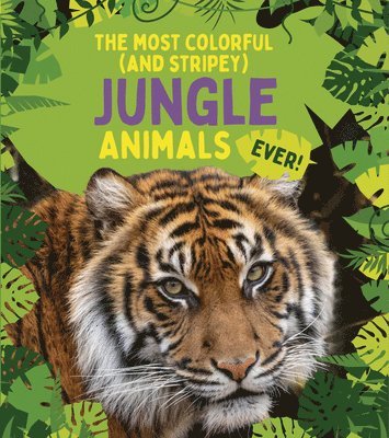 The Most Colorful (and Stripey) Jungle Animals Ever 1