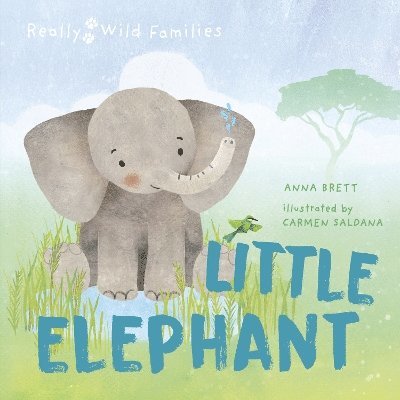 Little Elephant 1