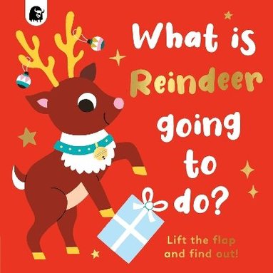 Carly Madden - What is Reindeer Going to do?, Kartonnage