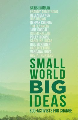 bokomslag Small World, Big Ideas