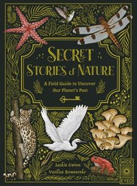 bokomslag Secret Stories of Nature: A Field Guide to Uncover Our Planet's Past
