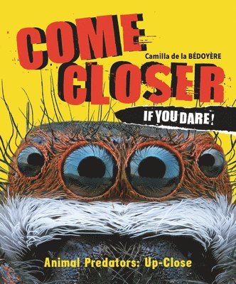 bokomslag Come Closer If You Dare!: Animal Predators Up Close