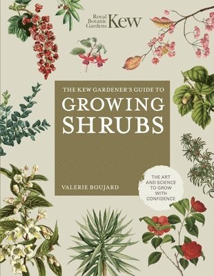 Valérie Boujard, Royal Botanic Gardens Kew - Kew Gardener's Guide to Growing Shrubs, Inbunden