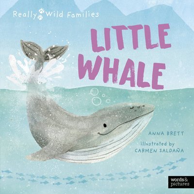 Anna Brett - Little Whale: A Day in the Life of a Whale Calf, Inbunden
