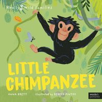 bokomslag Little Chimpanzee