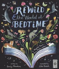 bokomslag Rewild the World at Bedtime: Hopeful Stories from Mother Nature
