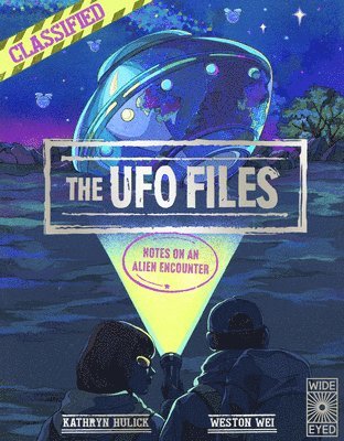 bokomslag The UFO Files: Notes on an Alien Encounter