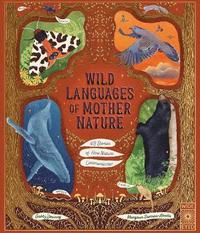 bokomslag Wild Languages of Mother Nature: 48 Stories of How Nature Communicates